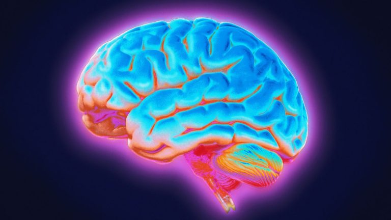 Descoperirea unui circuit cerebral profund care poate fi asociat cu boala Parkinson