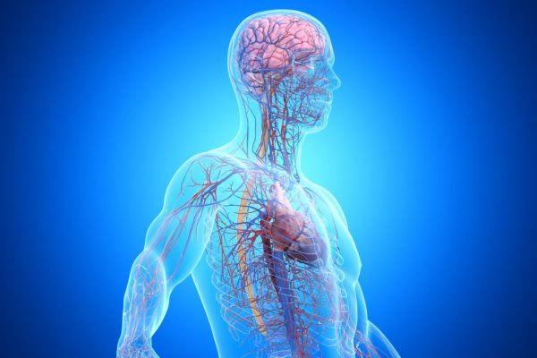 Una din Trei Cazuri de Demență este Legată de Boli din Afara Creierului