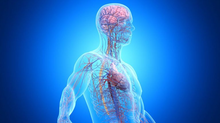 Una din Trei Cazuri de Demență este Legată de Boli din Afara Creierului