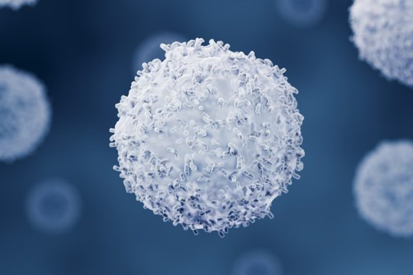 Descoperire neașteptată: Cum opresc celulele imune un parazit cerebral să se răspândească