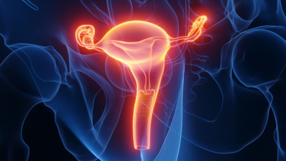 S-a născut primul copil în Marea Britanie dintr-un transplant de uter de la un donator decedat