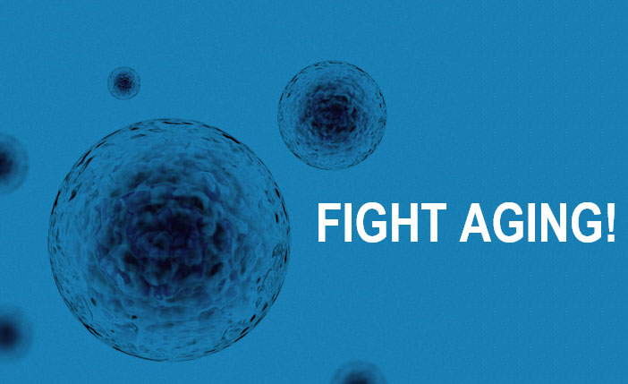 Impactul Varstei Asupra Microbiomului Intestinal Conduce la Disfunctia Barierei Intestinale Legata de Varsta