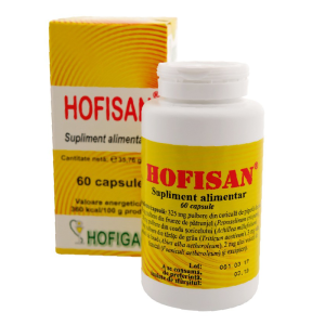 Hofisan