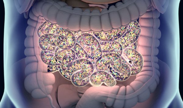 Terapia cu Microbiom ar Putea Ajuta Pacienții cu Melanom Rezistent la Medicamente