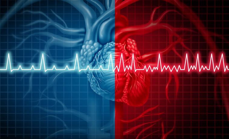 Dispozitivul Smart de Mână Detectează Stopul Cardiac cu o Sensibilitate de 92% într-un Studiu Clinic Preliminar