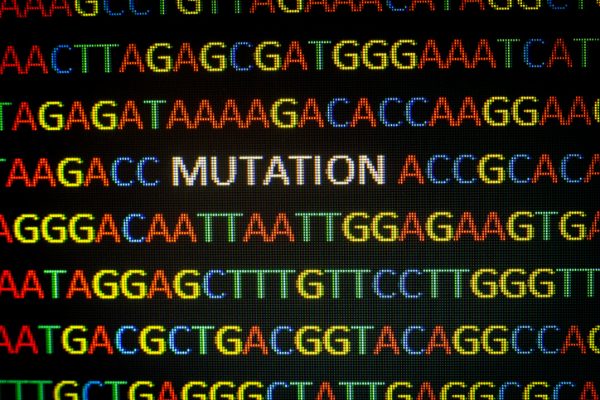 Model AI Foundation care hărțuiește mutațiile tumorale pentru a prezice răspunsul la terapia cancerului