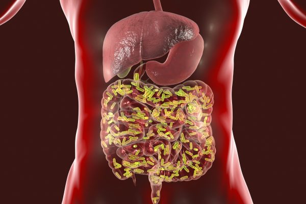 Impactul Asistenței Medicale Precoce asupra Schimbărilor Rapide ale Microbiomului Intestinal în Comunitățile Indigene Amazoniene