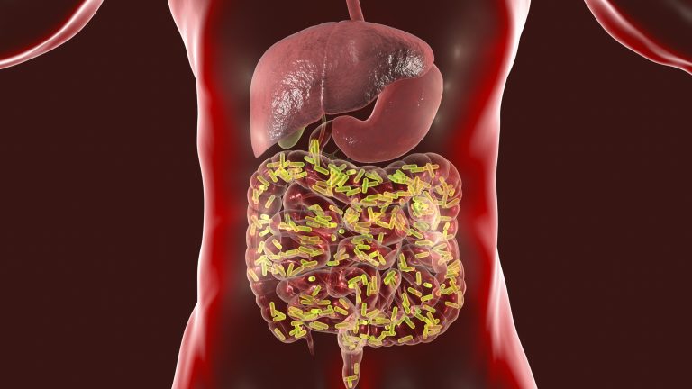 Impactul Asistenței Medicale Precoce asupra Schimbărilor Rapide ale Microbiomului Intestinal în Comunitățile Indigene Amazoniene