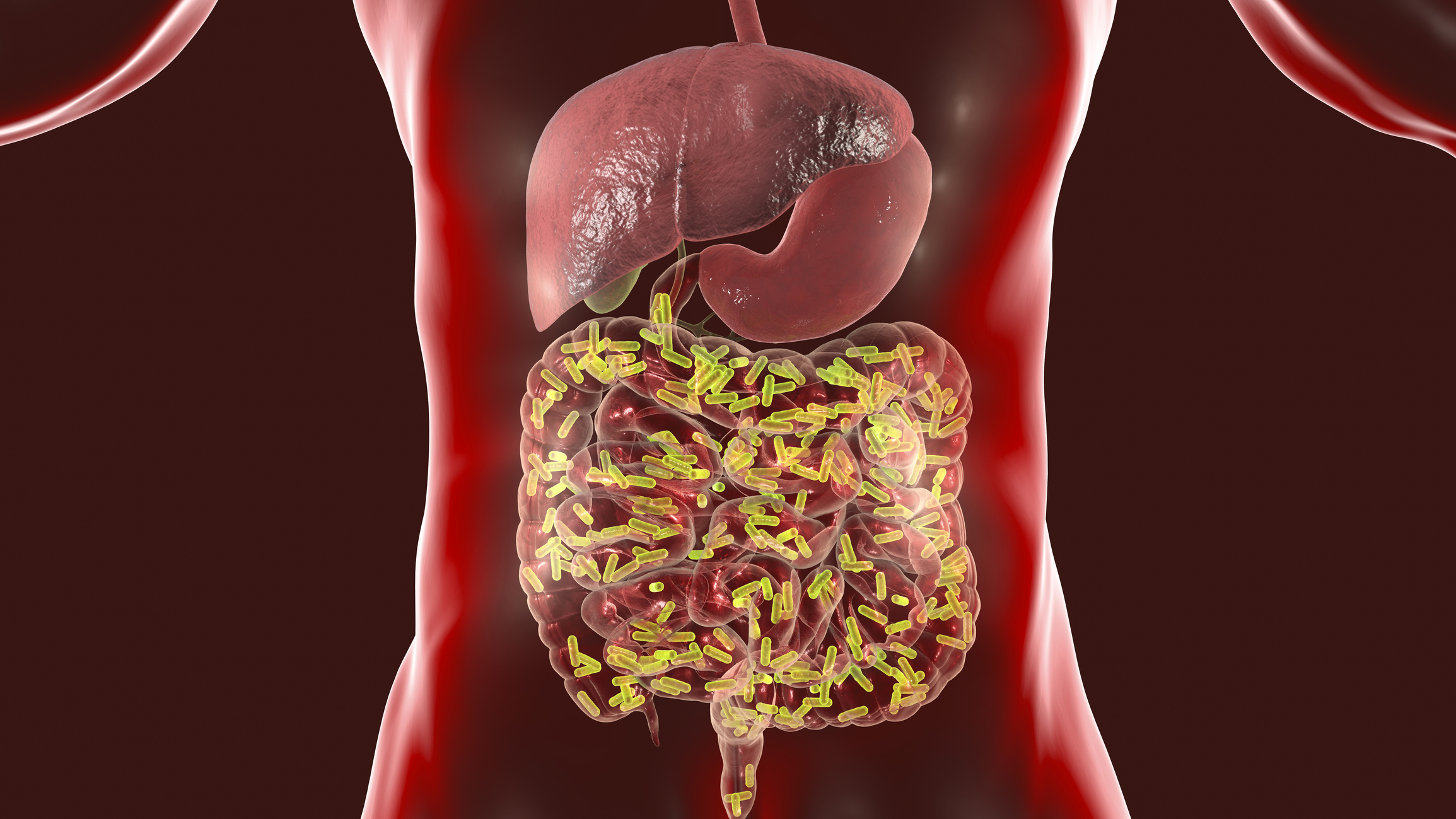 Impactul Asistenței Medicale Precoce asupra Schimbărilor Rapide ale Microbiomului Intestinal în Comunitățile Indigene Amazoniene