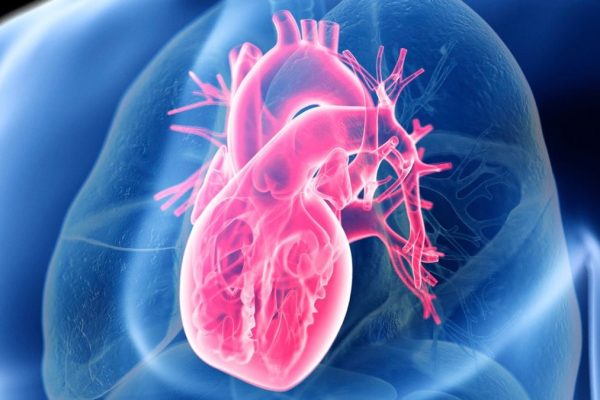 Secretele unei Inimi Sănătoase: Calitatea Alimentelor Contează Mai Mult Decât Reducerea Carbogazelor sau Grăsimilor