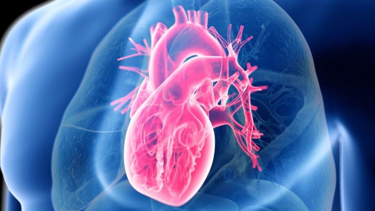 Secretele unei Inimi Sănătoase: Calitatea Alimentelor Contează Mai Mult Decât Reducerea Carbogazelor sau Grăsimilor