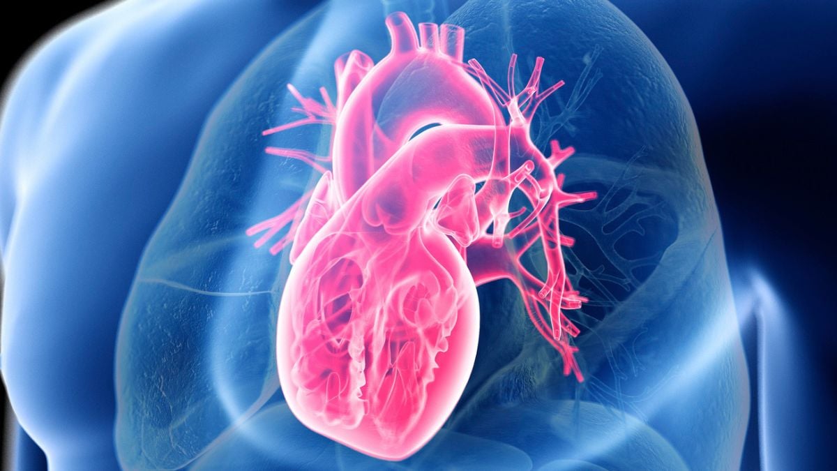 Secretele unei Inimi Sănătoase: Calitatea Alimentelor Contează Mai Mult Decât Reducerea Carbogazelor sau Grăsimilor