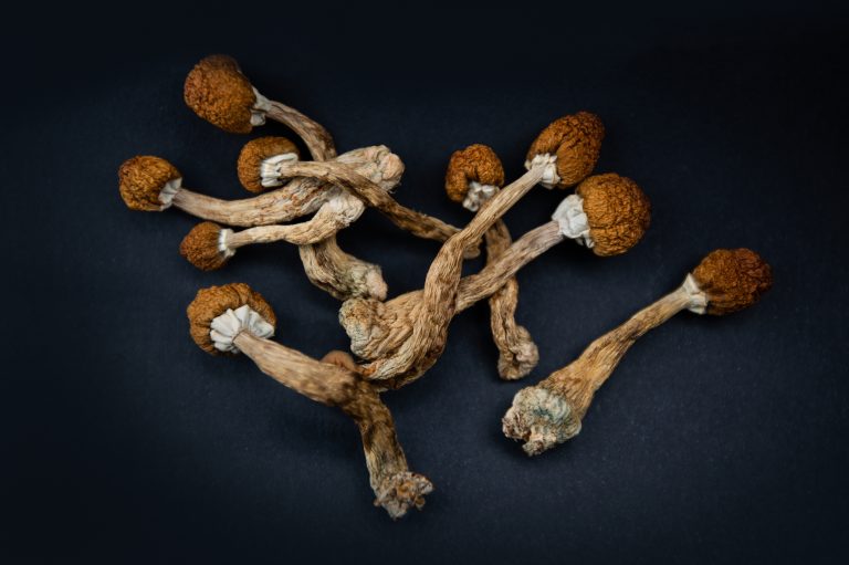 O singură doză de psilocibină ameliorează depresia timp de peste trei luni