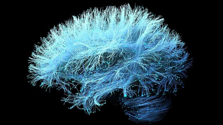 Supliment pentru Dureri Articulare care Poate Accelerare Pierderea Memoriei în Alzheimer