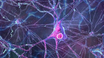 Cum luptăm împotriva Parkinson prin restaurarea degradării proteinelor