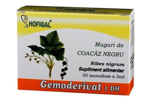 De ce mugurii de coacăz negru sunt secretul sănătății glandelor suprarenale?