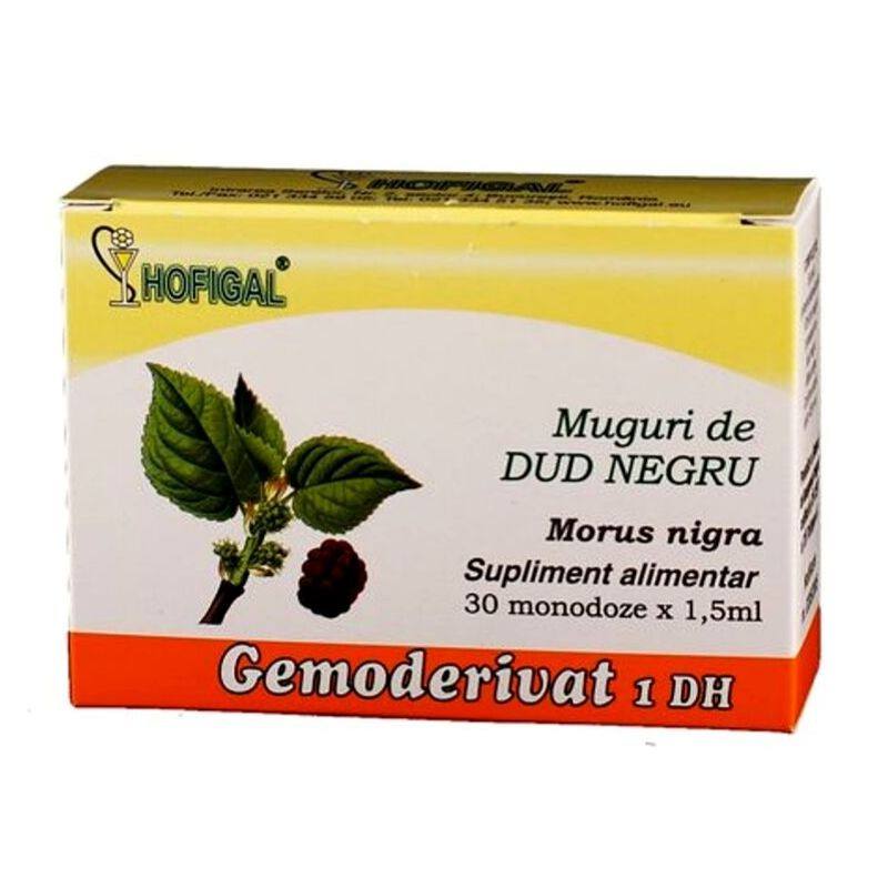 Ce beneficii au mugurii de dud negru pentru sănătatea ta generală?