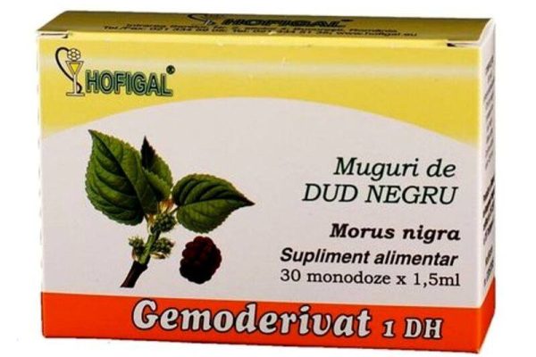 De ce mugurii de dud negru sunt cheia sănătății tale? Află secretul!