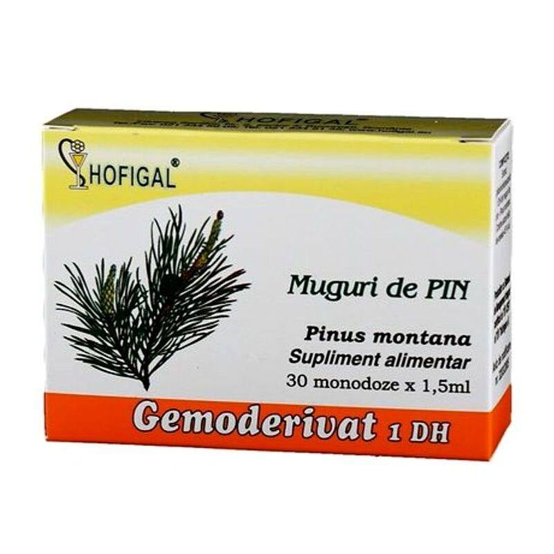 Descoperă beneficiile surprinzătoare ale mugurilor de pin pentru articulații sănătoase!