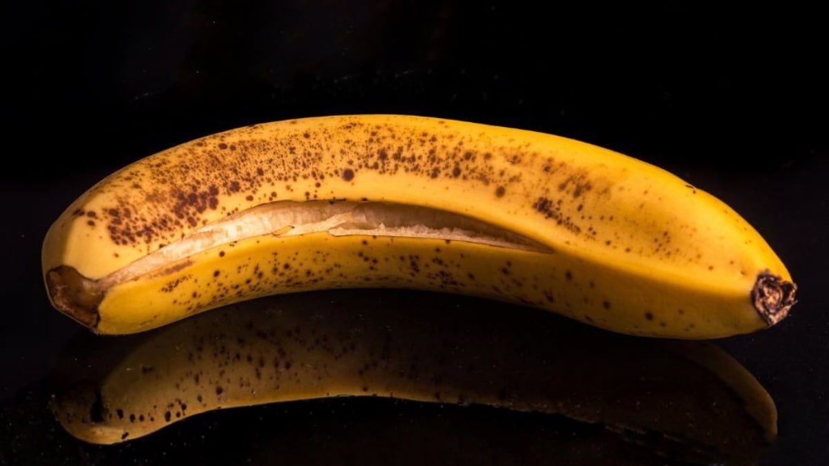 Cum știi când să arunci mâncarea veche? 4 semne cheie conform științei