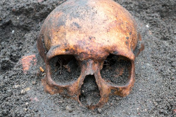 Răsturnare de Situație: ADN-ul Antic rezolvă un Misterios Asasinat din Secolul al XVI-lea