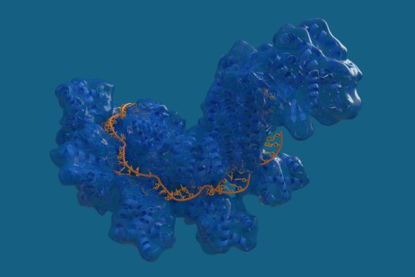 Cum știința utilizează inteligența artificială pentru a îmbunătăți editarea genelor cu CRISPR