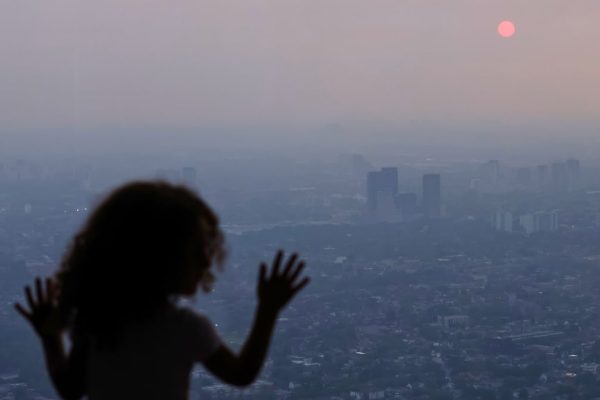 Impactul Fumului de la Incendiile de Vegetație Asupra Sănătății – Nu Doar Asupra Plămânilor