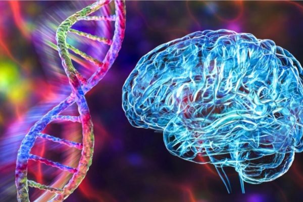 Studiu semnificativ: Schizofrenia și Tulburarea Bipolară împărtășesc 70% din Rădăcinile lor Genetice
