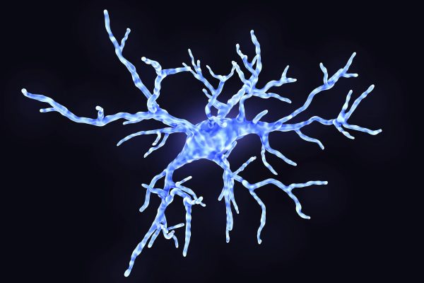 Cum putem prelungi fereastra de recuperare după un accident vascular cerebral prin targetarea microgliei
