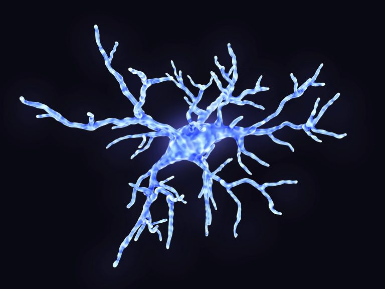 Cum putem prelungi fereastra de recuperare după un accident vascular cerebral prin targetarea microgliei