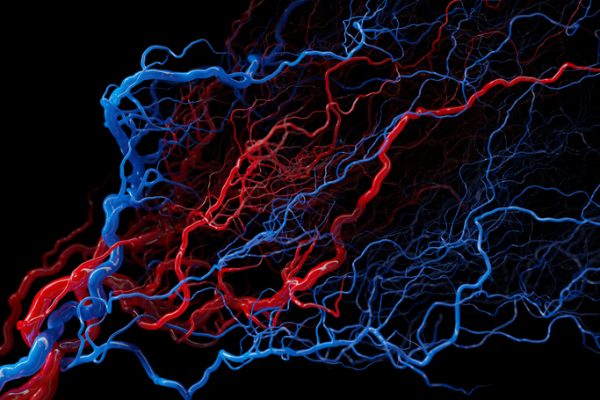 Genele implicate în Alzheimer descoperite în sistemul circulator