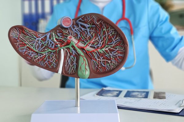 Interacțiunile dintre Oameni și Porci în Cadrul Xenotransplantului Hepatic: Un Studiu Multi-Omics