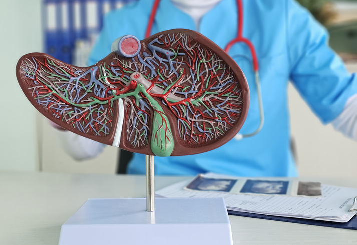 Interacțiunile dintre Oameni și Porci în Cadrul Xenotransplantului Hepatic: Un Studiu Multi-Omics
