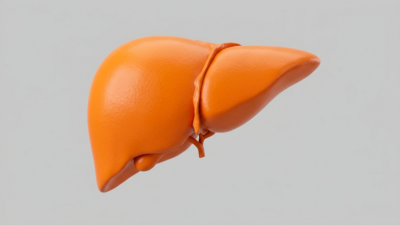 Exosomele din Celule Stem Combat Boli Hepatice la Șoareci