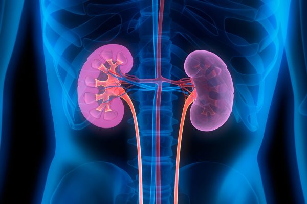 Tratamentul bolii renale induse de diabetul de tip 1 cu un medicament din studiul de fază III
