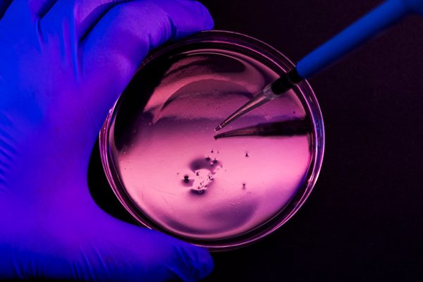 Un antibiotic de ultimă soluție pierde lupta împotriva unei bacterii periculoase de spital