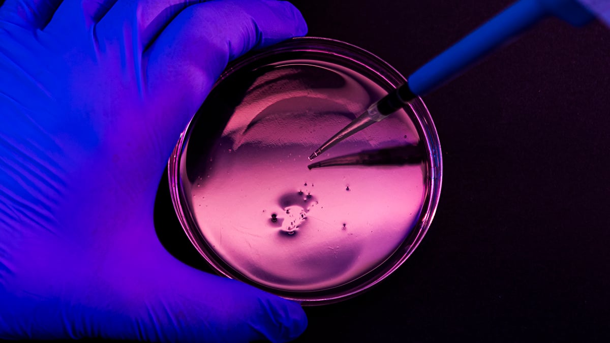 Un antibiotic de ultimă soluție pierde lupta împotriva unei bacterii periculoase de spital