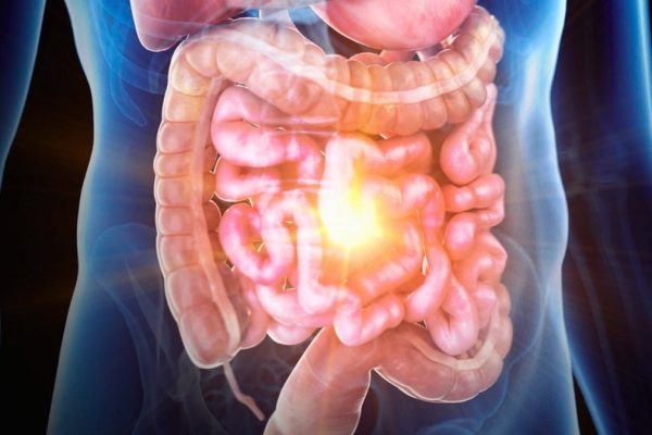 Cum a fost recreată boala inflamatorie intestinală pe un cip, iar oamenii de știință ar putea în sfârșit descoperi cauza sa