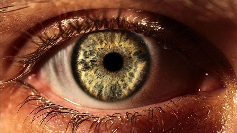 Lentile de Contact Care Se Repară Singure – Fără a Fi Nevoie de Înlocuire