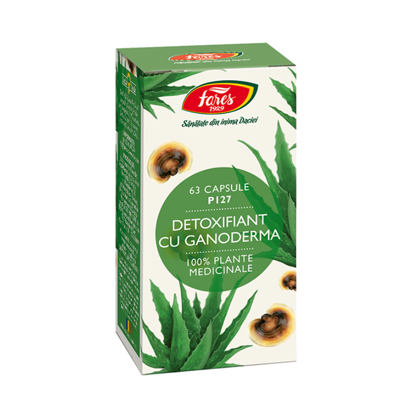 Ce este detoxifierea cu Ganoderma și cum ajută la purificarea organismului?