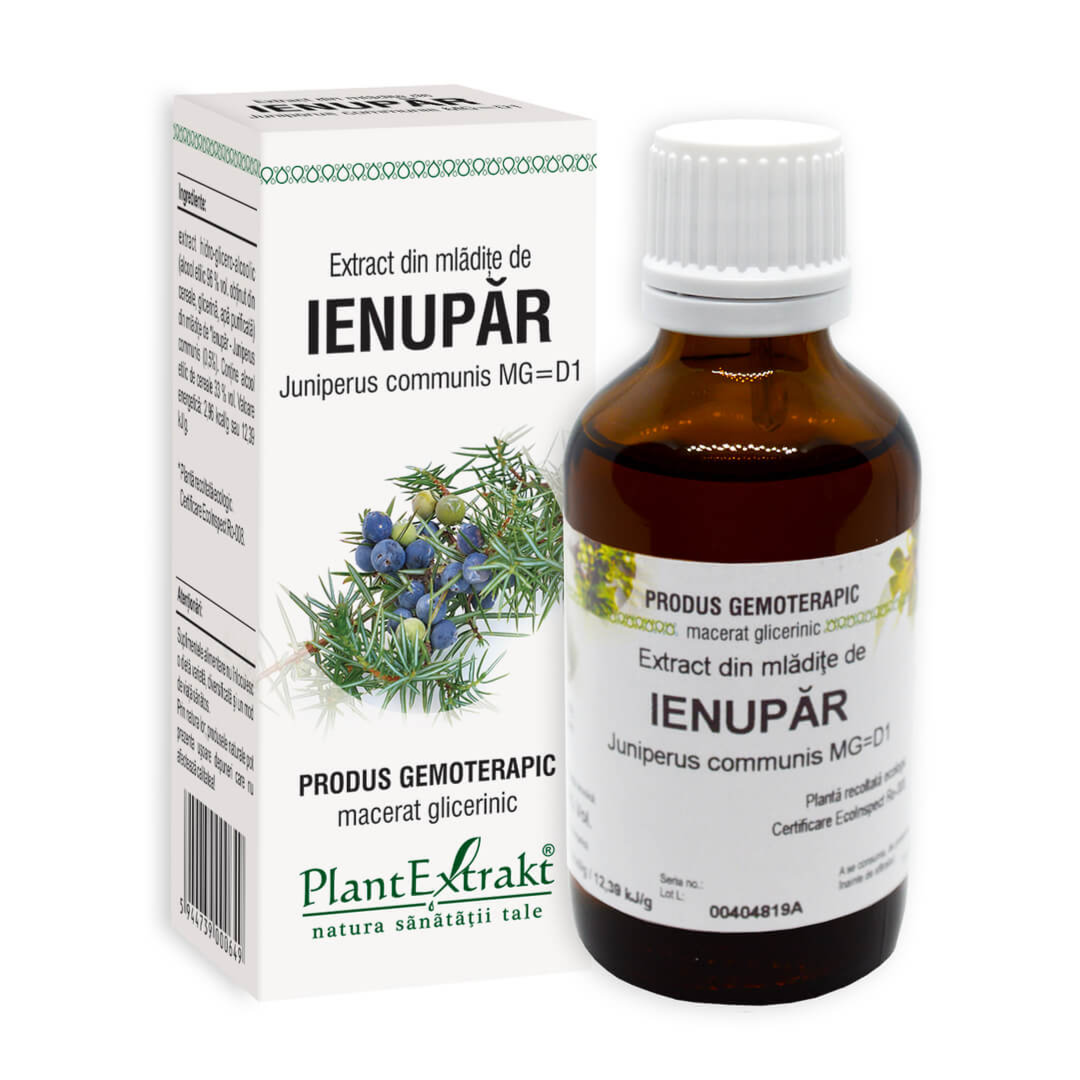 De ce ienuparul este secretul detoxifierii aromatice a ficatului tău?