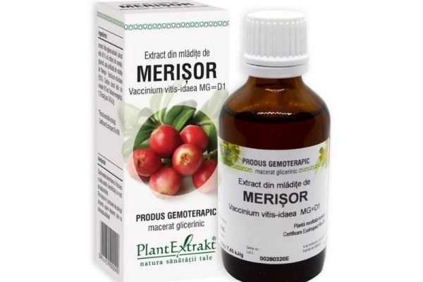 De ce extractul din mladite de merisor este secretul unei digestii armonioase?