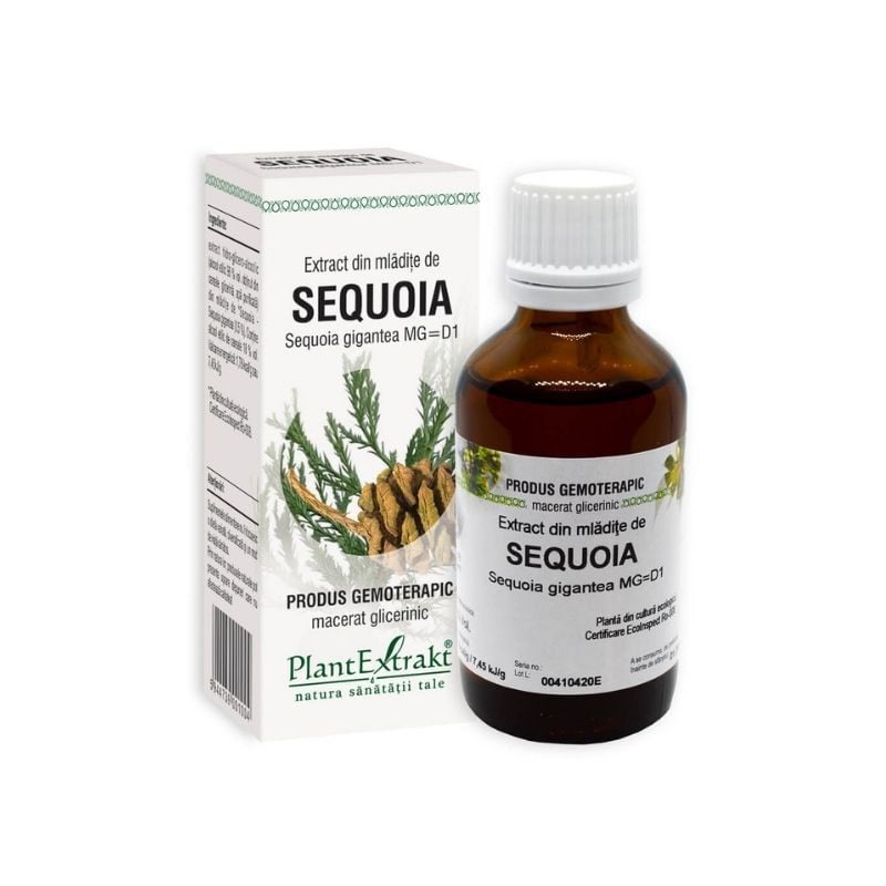 De ce extractul din mladite de sequoia este secretul longevității?
