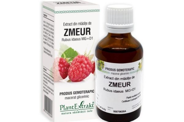 Ce este extractul din mlădițe de zmeur și cum ajută în echilibrul hormonal?