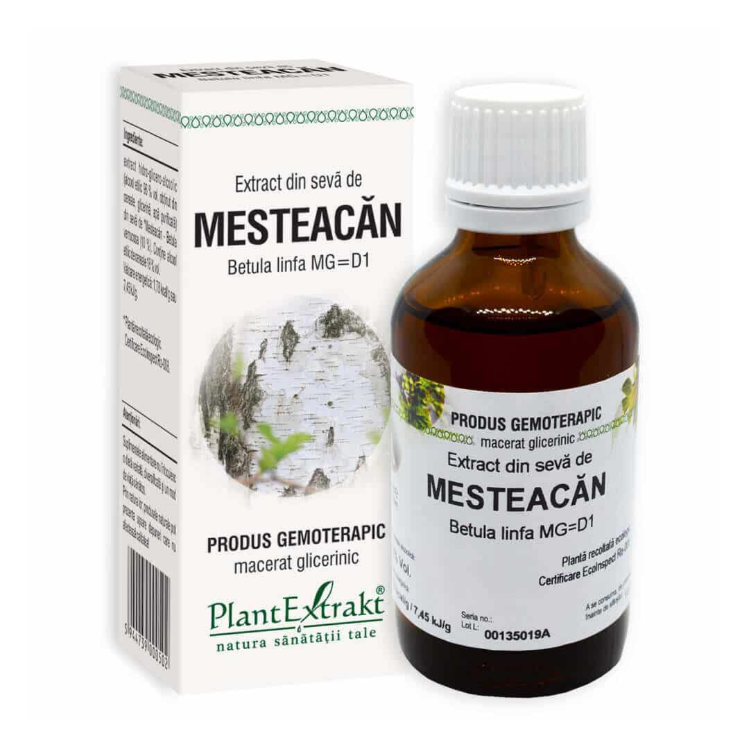 Cum ajută seva de mesteacan la îmbunătățirea elasticității pielii și reducerea celulitei?