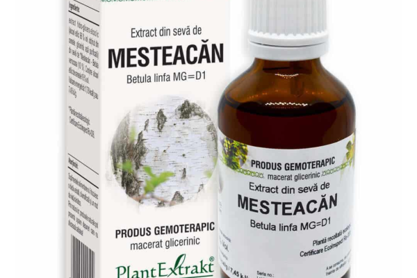 Stiai ca seva de mesteacan poate transforma pielea ta intr-o capodopera?