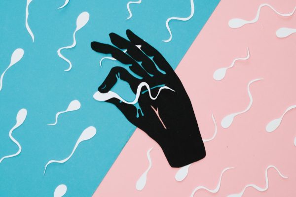 Cercetătorii se apropie de Crearea Spermatozoizilor Umani în Laborator