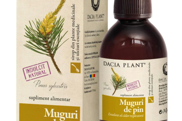 Ce este siropul de muguri de pin și cum ajută la sănătatea respiratorie?