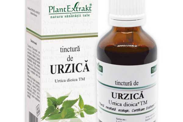 Stiai că urzica poate fi secretul unei detoxifieri rapide și eficiente?