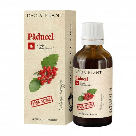 Ce este tinctura de paducel fără alcool și cum ajută la îmbunătățirea sănătății cardiovasculare?